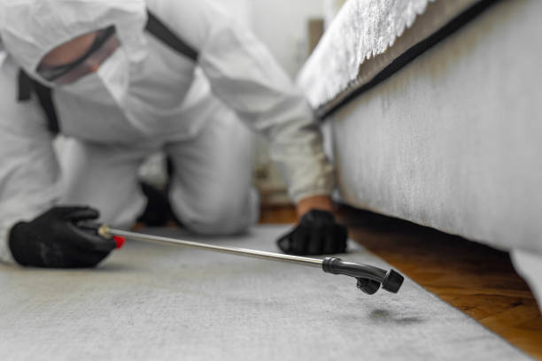 Professional Bed Bug Control technician working in Hopelawn, NJ